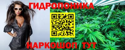 соль ск Нальчик