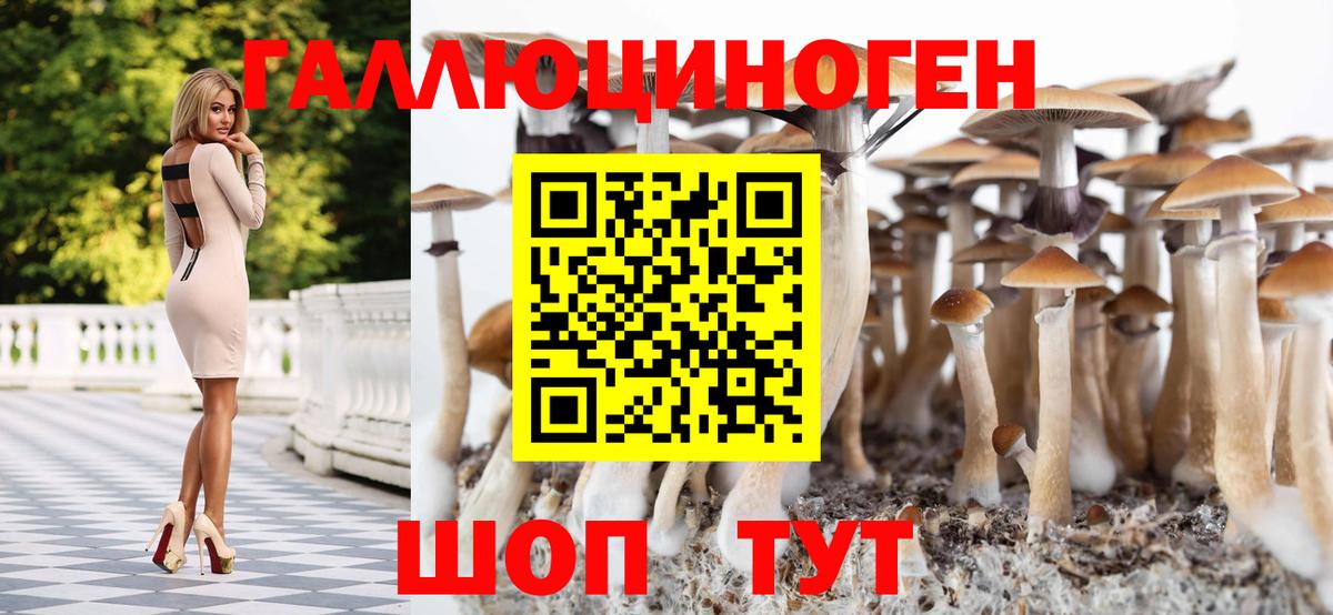 Псилоцибиновые грибы GOLDEN TEACHER  Галлюциногенные грибы Cubensis  Вход с VPN  Ростов Великий 