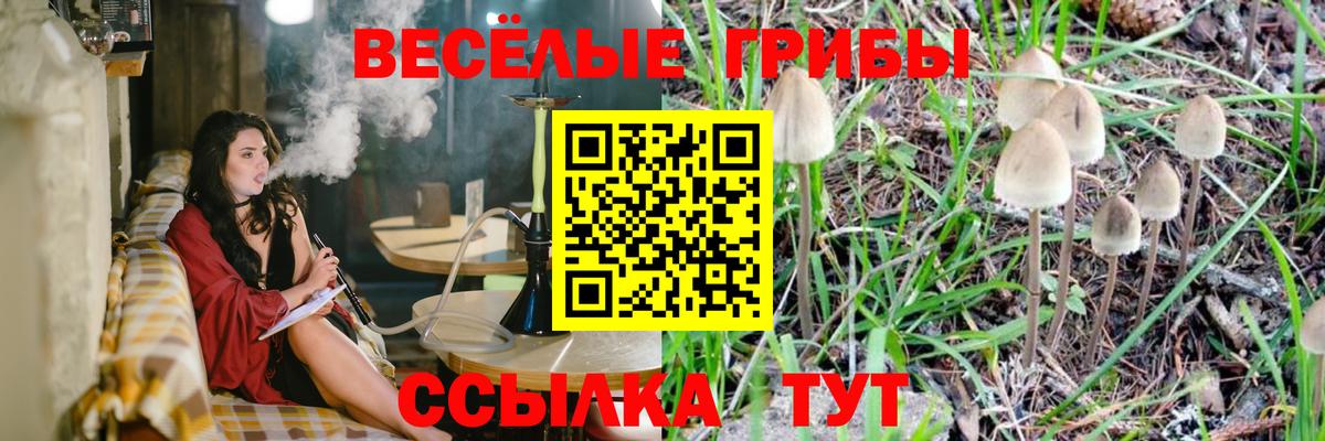 Галлюциногенные грибы Cubensis Ростов Великий